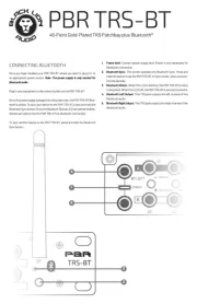 Black Lion Audio