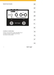 Behringer