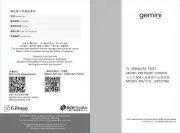 Gemini