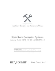 Mr Steam