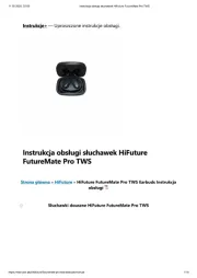 HiFuture