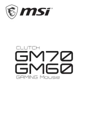 MSI