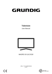 Grundig