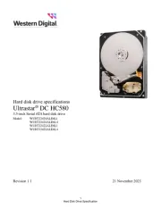 Western Digital