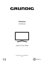 Grundig