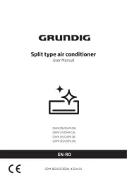 Grundig