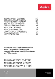 Amica