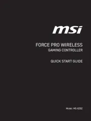 MSI