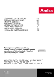 Amica