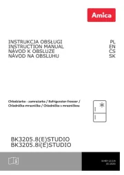 Amica