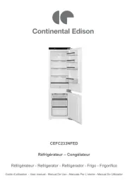 Continental Edison