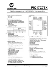 Microchip