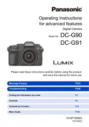 Panasonic