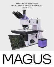 MAGUS