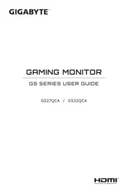 Gigabyte
