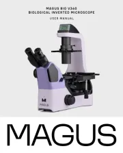MAGUS