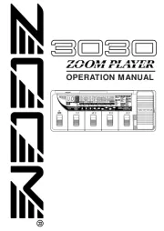 Zoom