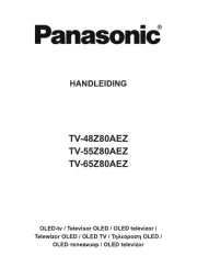 Panasonic
