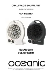 Oceanic