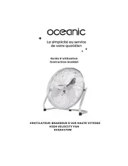 Oceanic