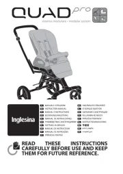 Inglesina