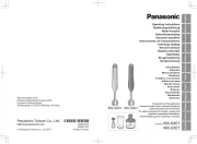 Panasonic