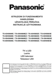 Panasonic