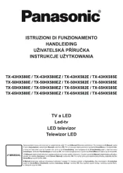 Panasonic