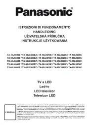Panasonic