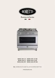 Boretti