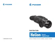 Pulsar