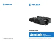 Pulsar