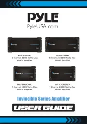 Pyle
