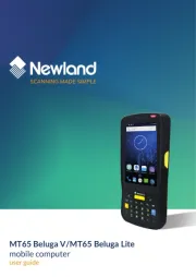 Newland