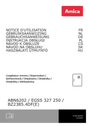 Amica