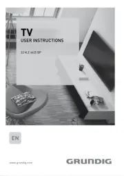 Grundig