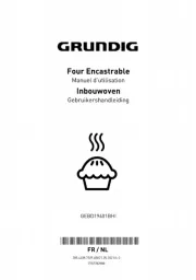 Grundig