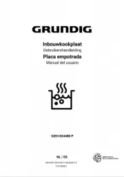 Grundig
