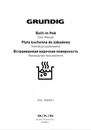 Grundig