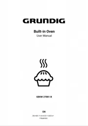 Grundig