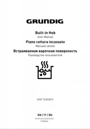 Grundig