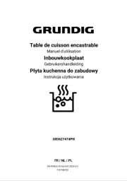 Grundig