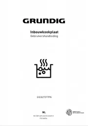 Grundig