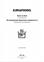 Grundig