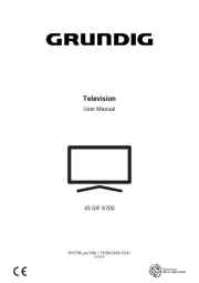 Grundig
