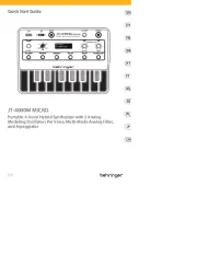 Behringer