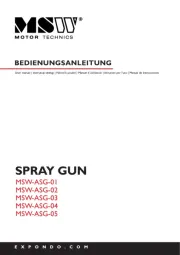 MSW