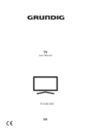 Grundig