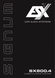 ESX