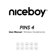 Niceboy